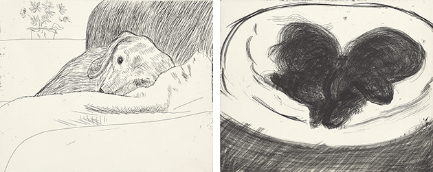 177415_FIG 1 (left): David Hockney, Dog Etching No. 11, from Dog Wall, 1998  177415_FIG 2 (right): David Hockney, Dog Etching No. 1, from Dog Wall, 1998 